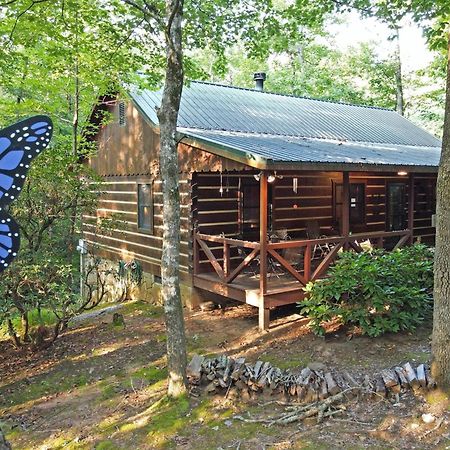 Villa Laurel Creek- Blue Ridge Esterno foto