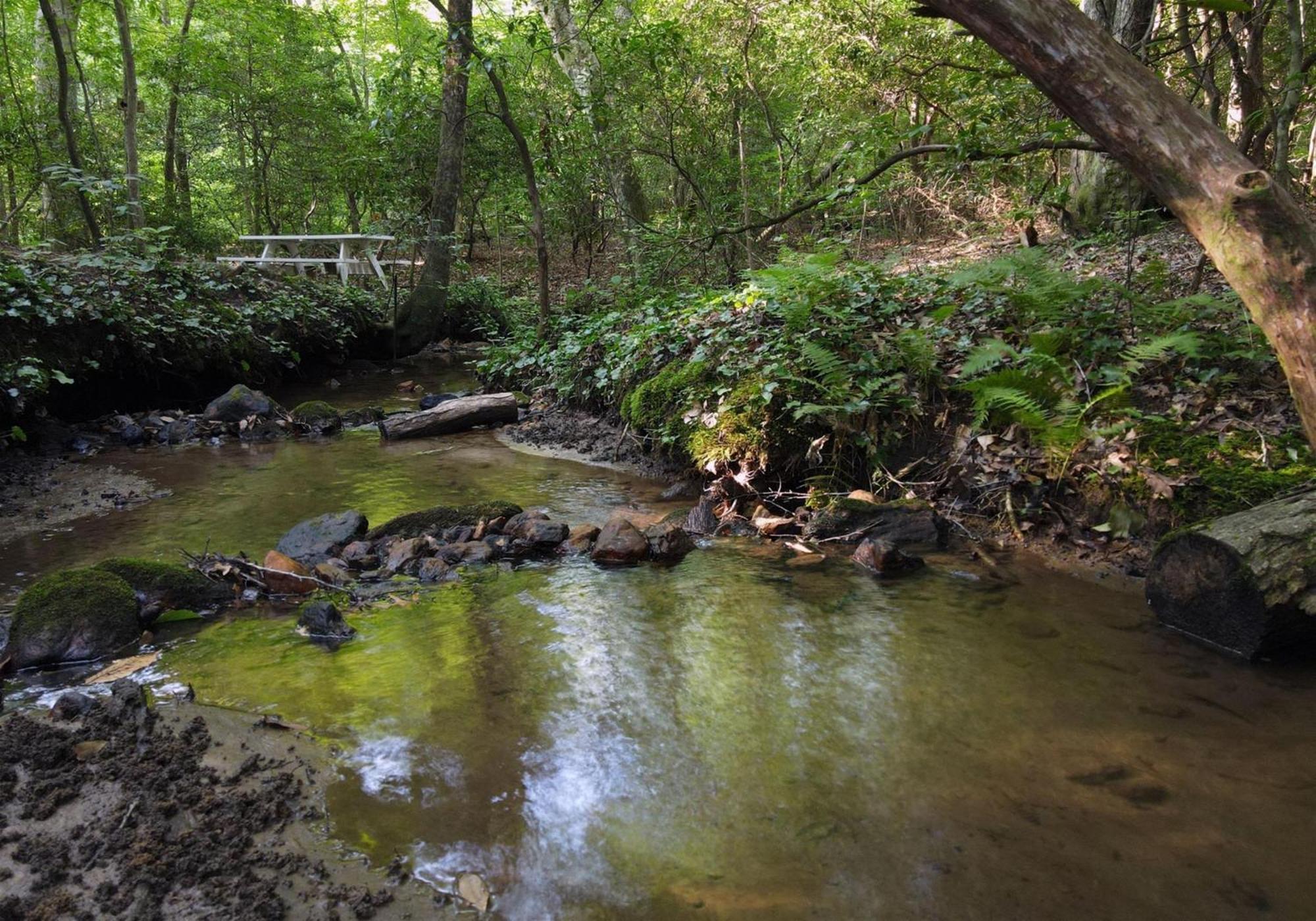 Villa Laurel Creek- Blue Ridge Esterno foto