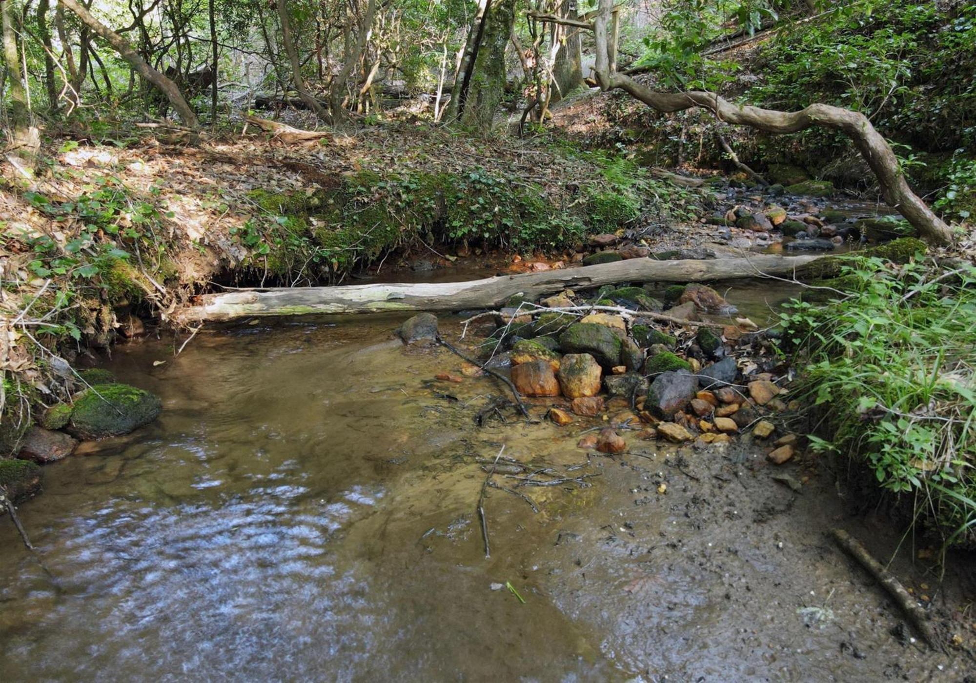 Villa Laurel Creek- Blue Ridge Esterno foto
