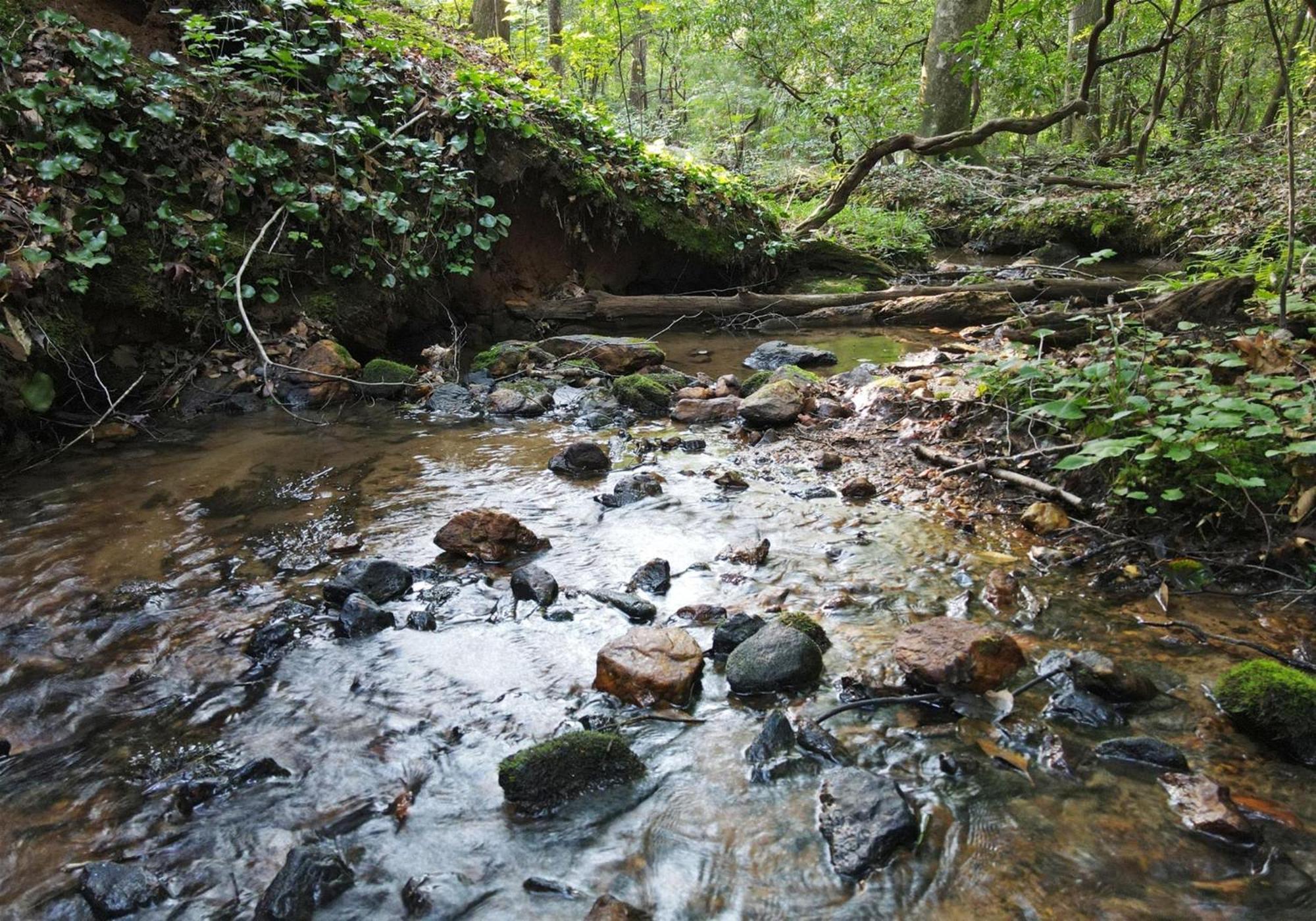 Villa Laurel Creek- Blue Ridge Esterno foto